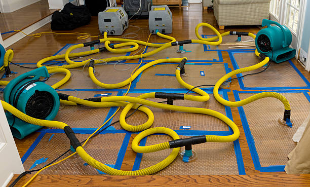 Professional Crawl Space Water Removal technician working in Butler, OH